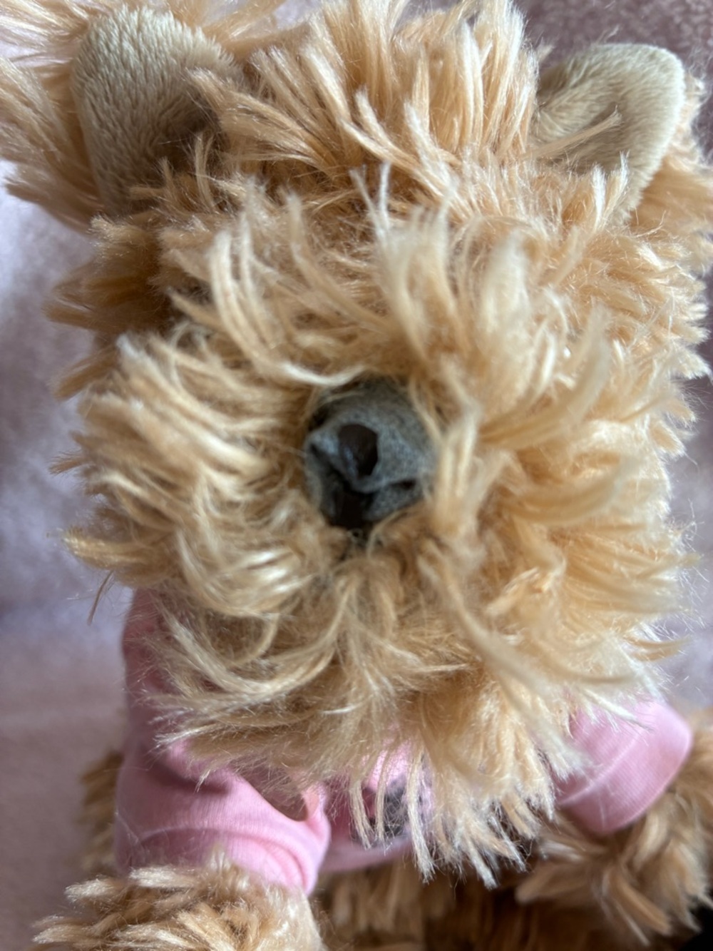 Juicy Couture - Juicy Doggy Rare 2006 Yorkie Plush Dog - Picture 9 of 16